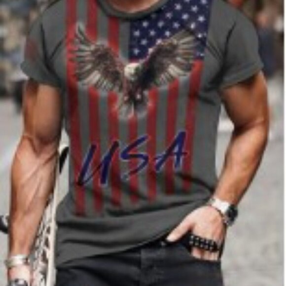 Eagle & Flag All-Season T-Shirt Stretch Comfort & Regular Fit Men's size Large - Picture 3 of 7